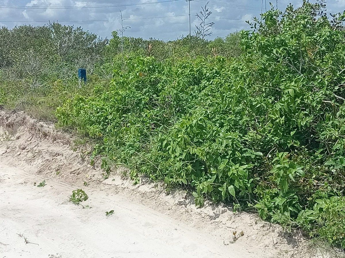 Terreno en San Benito, Dzemul, foto 3 de 6