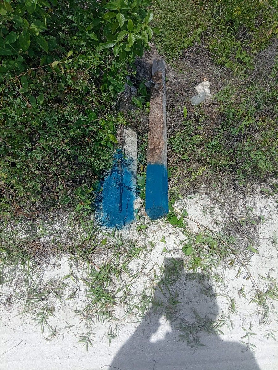 Terreno en San Benito, Dzemul, foto 6 de 6