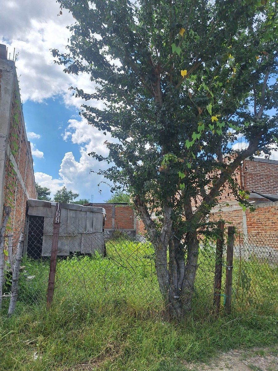 Terreno en La Florida, Ixtlahuacán de los Membrillos, foto 6 de 7