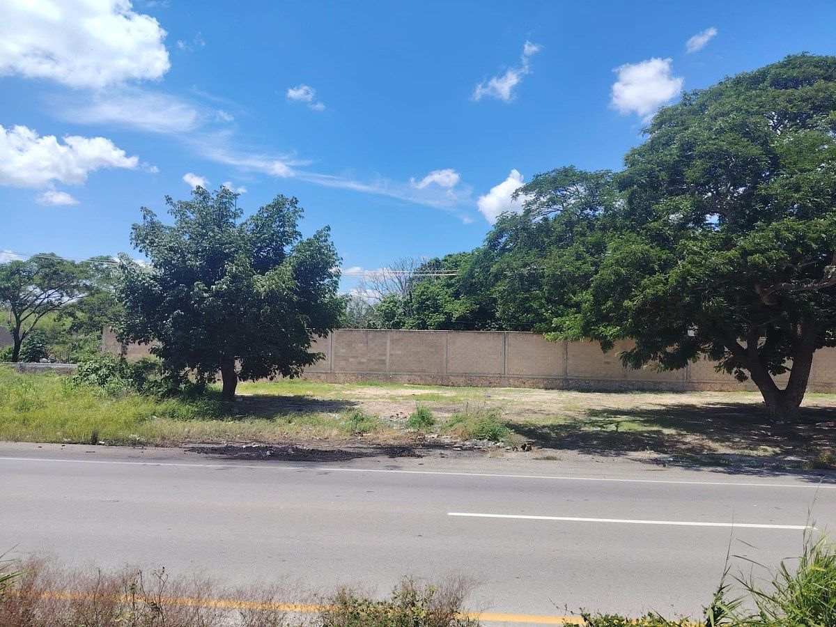 Terreno en Seyé, Seyé, foto 9 de 13