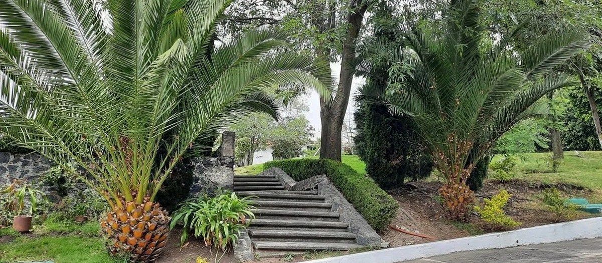Casa en condominio en Lomas de Tarango, Álvaro Obregón, foto 3 de 33