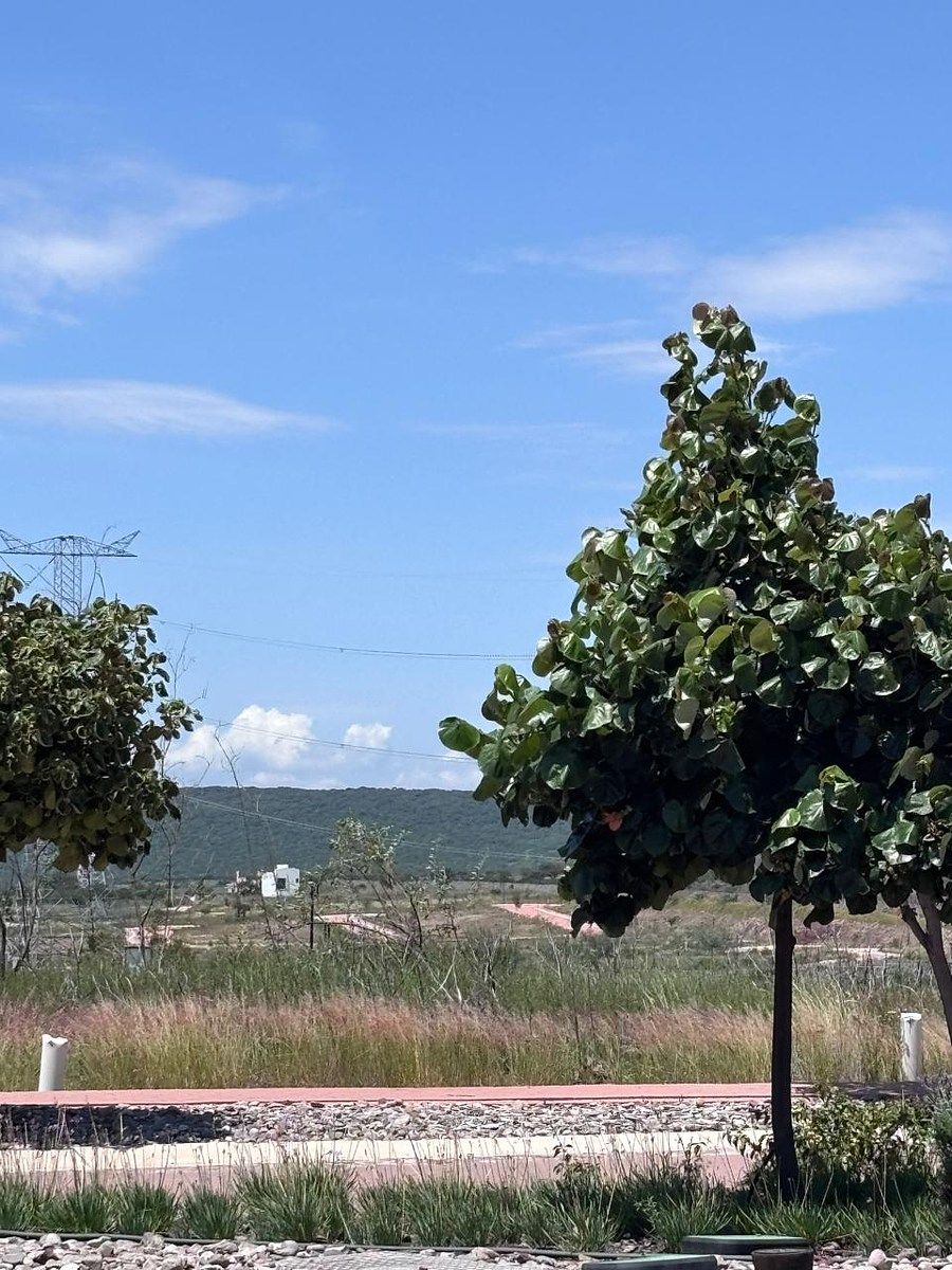 Lote em Puerta de San Rafael, Corregidora, foto 7 de 9