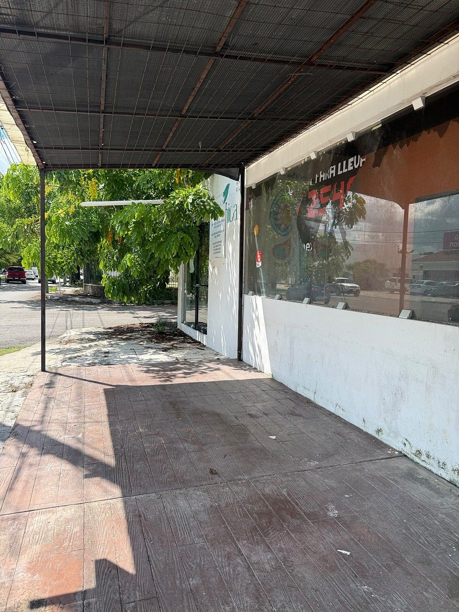 Lot in México, Mérida, photo 5 of 5