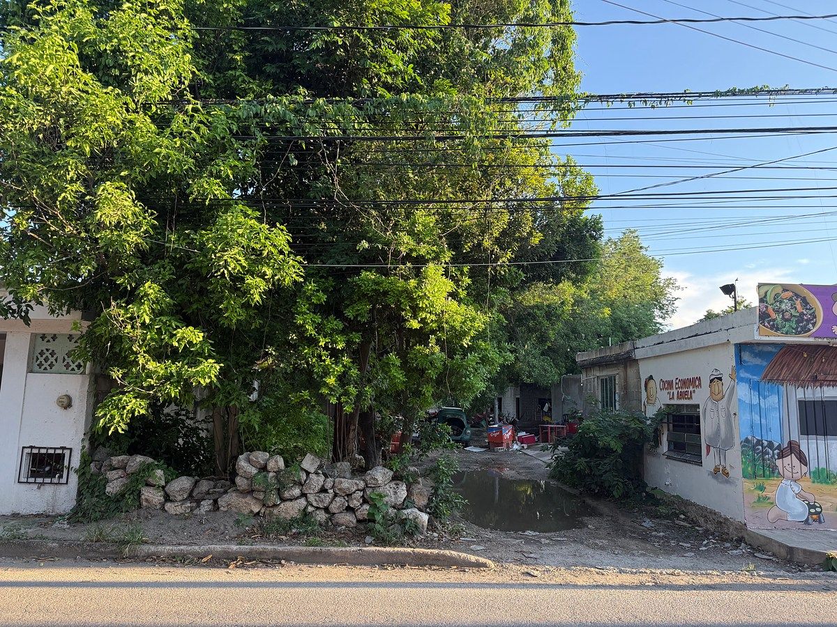 Terreno en Chuburna de Hidalgo, Mérida, foto 4 de 17