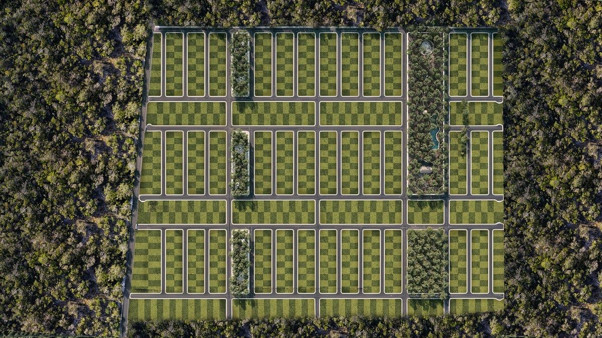 Terreno de inversión de 300 m² en BALANNCE, Dzilam González, Yucatán - foto 1