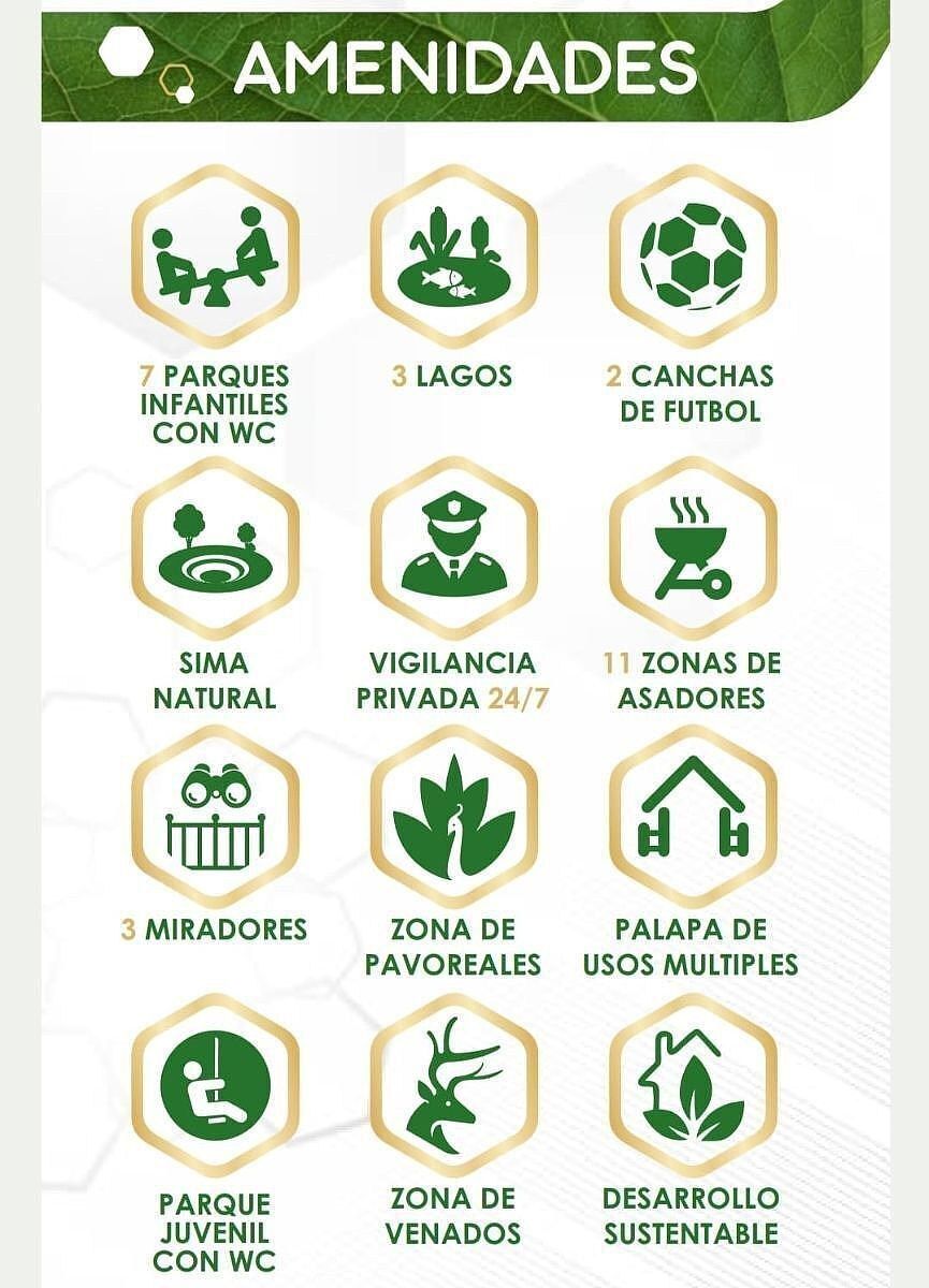 Lote em María Auxiliadora, San Cristóbal de Las Casas, foto 3 de 18
