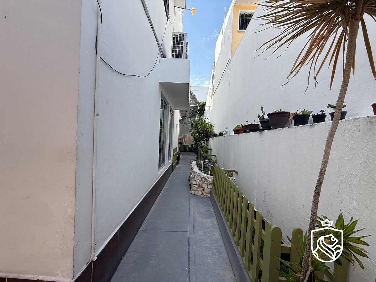 Casa em Miami, Carmen, foto 3 de 34