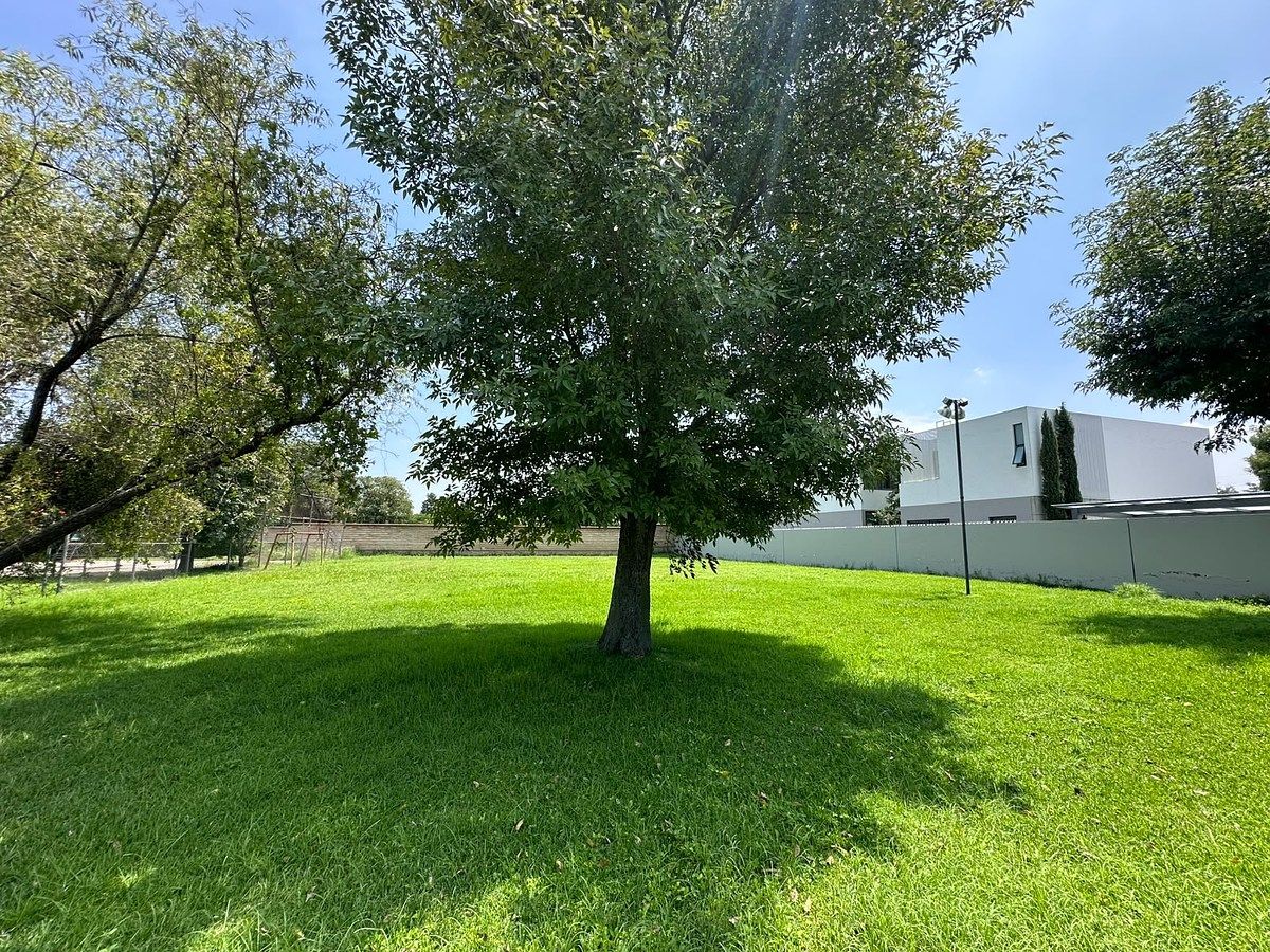 Terreno en La Mojonera, Zapopan, foto 9 de 13