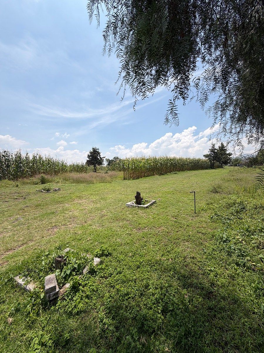 Rancho en Los Reyes Acatlixhuayan, Temamatla, foto 2 de 14