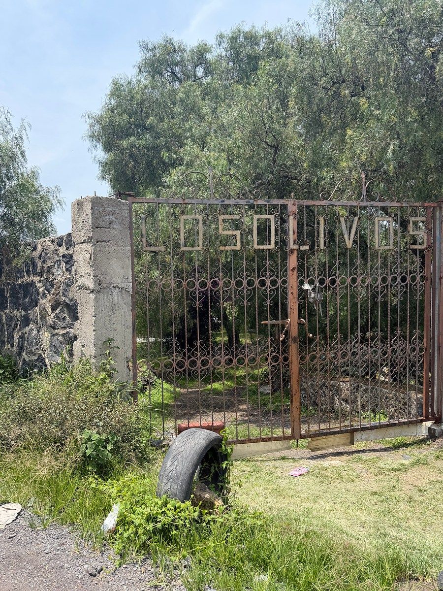 Rancho en Los Reyes Acatlixhuayan, Temamatla, foto 3 de 14