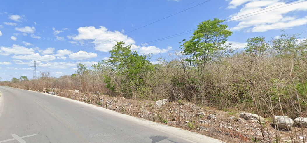 TERRENO EN UMAN YUCATAN - foto 4