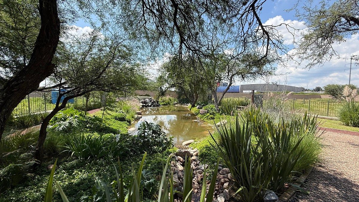 Terreno en El Salitre, Querétaro, foto 19 de 23