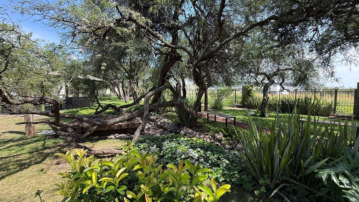 Terreno en El Salitre, Querétaro, foto 22 de 23