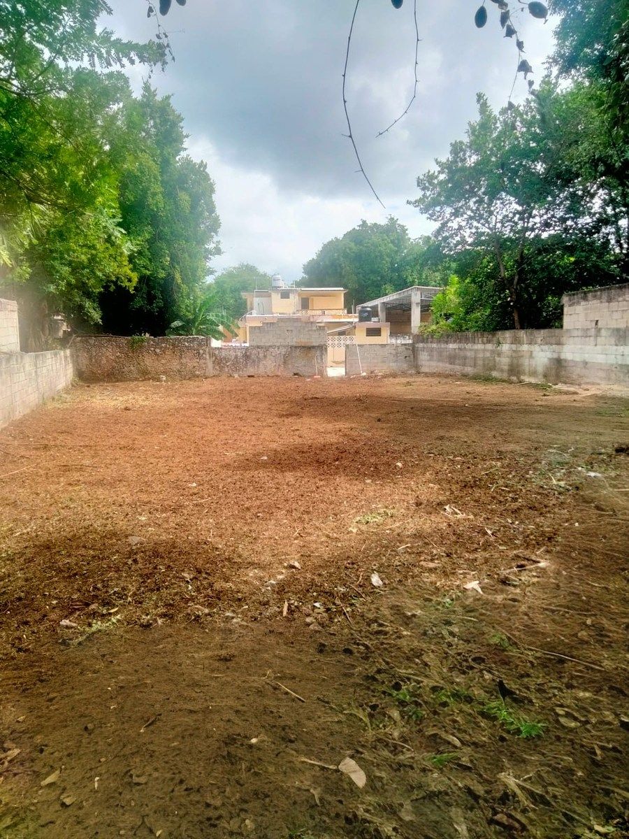 Casa em Mérida Centro, Mérida, foto 24 de 27
