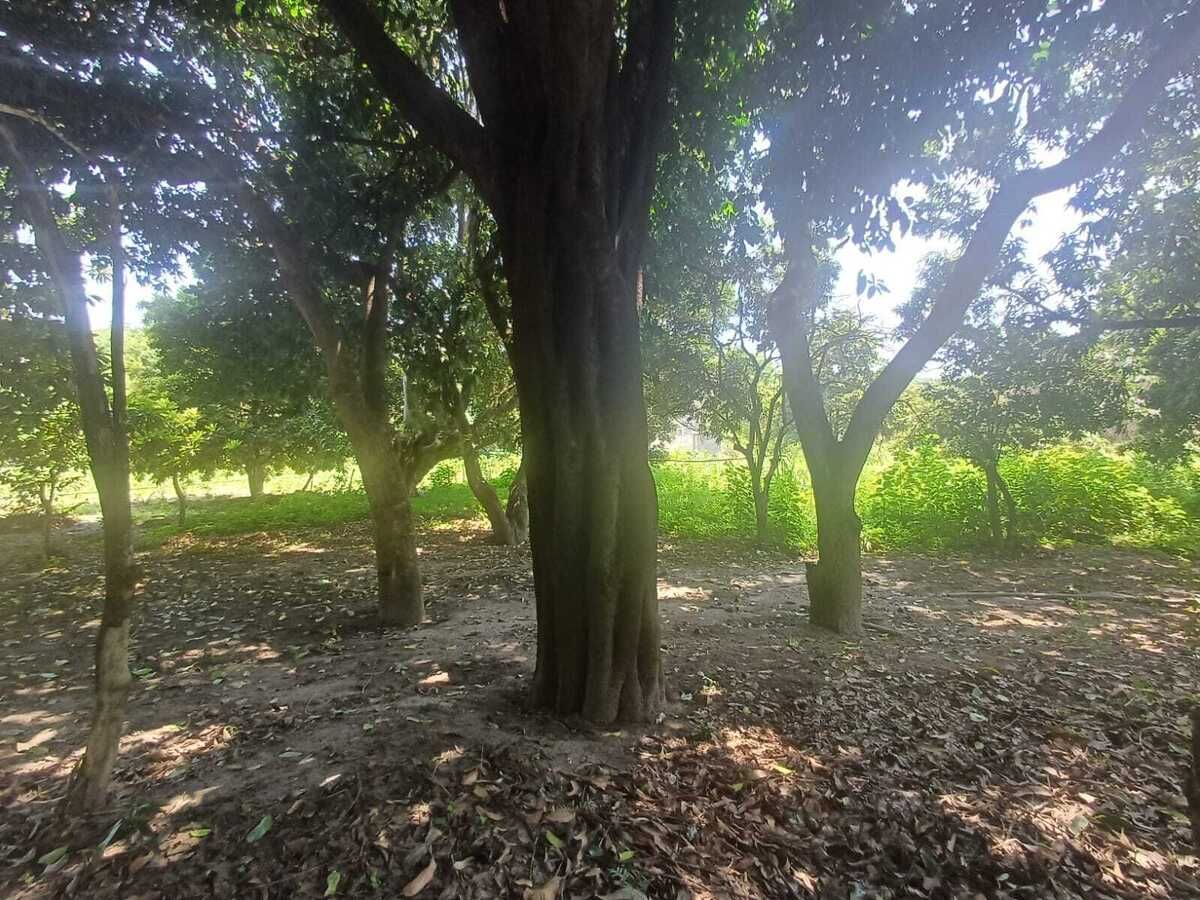 Quinta en Miacatlan, Miacatlán, foto 4 de 18