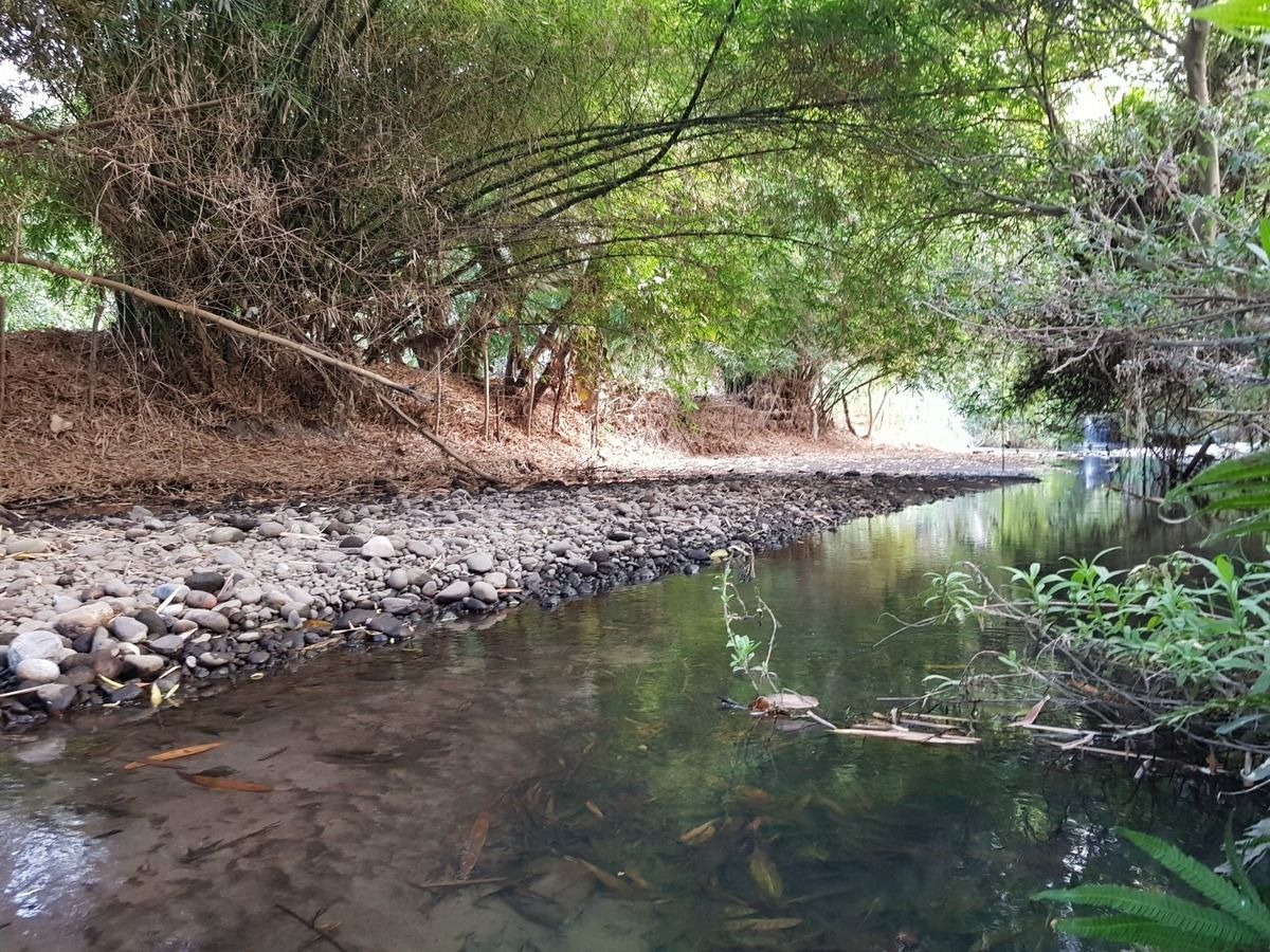 Quinta en Miacatlan, Miacatlán, foto 17 de 18