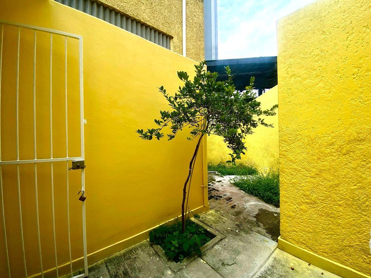 PATIO, foto 11 de 14