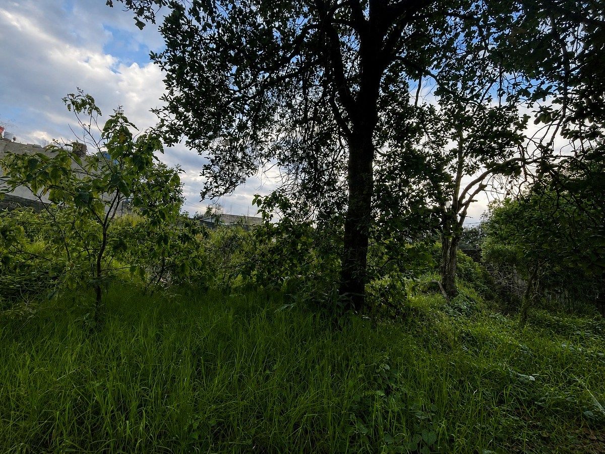 Terreno en Héroes de Padierna, Tlalpan, foto 4 de 5