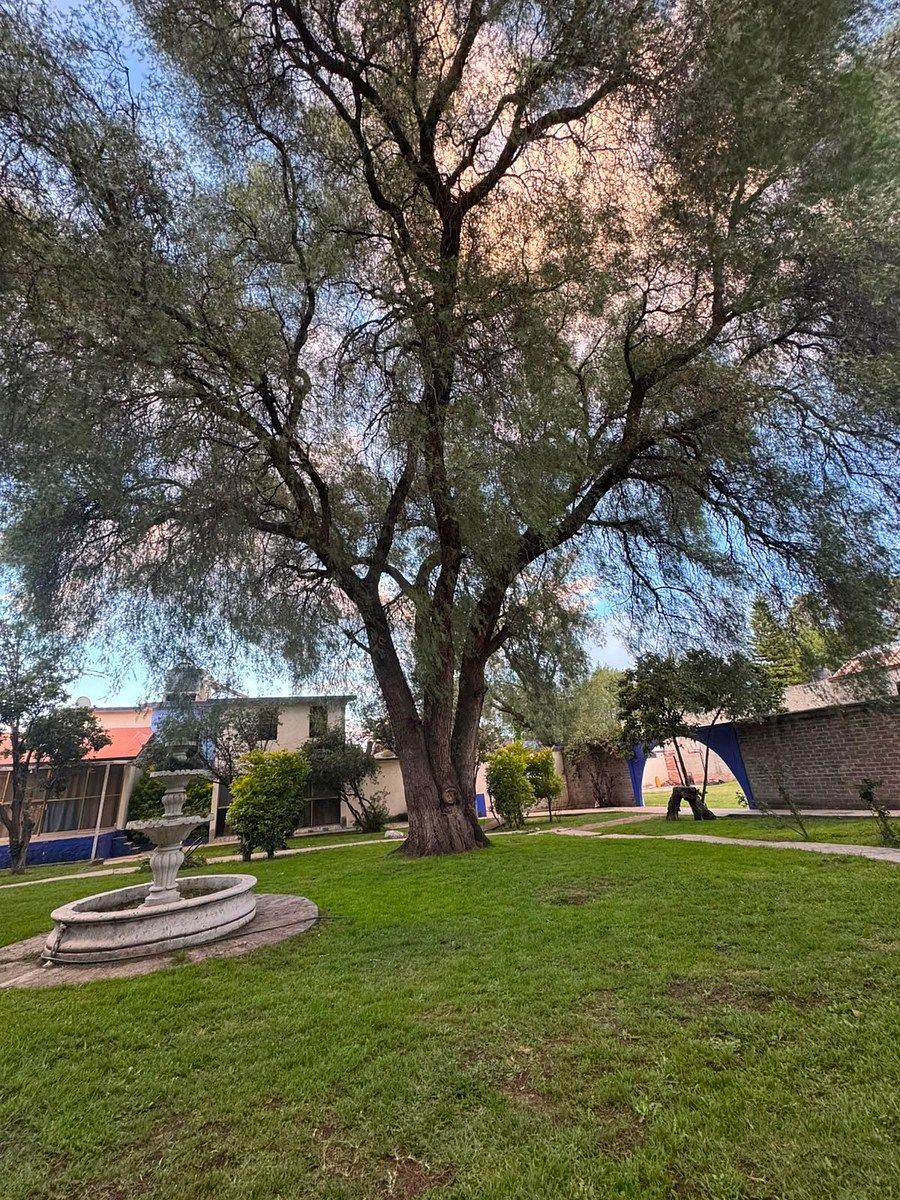CASA EN VENTA EN ACOLMAN | 2,880 m² DE TERRENO Y 15 HABITACIONES - foto 2