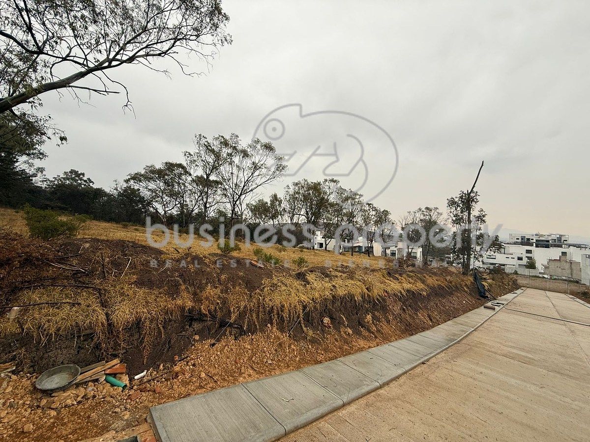 Terreno en Rancho Blanco Ejido de Espíritu Santo, Atizapán de Zaragoza, foto 5 de 6