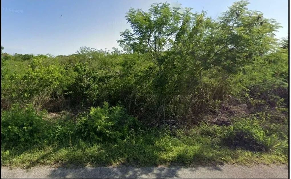 Lote em Sierra Papacal, Mérida, foto 3 de 5