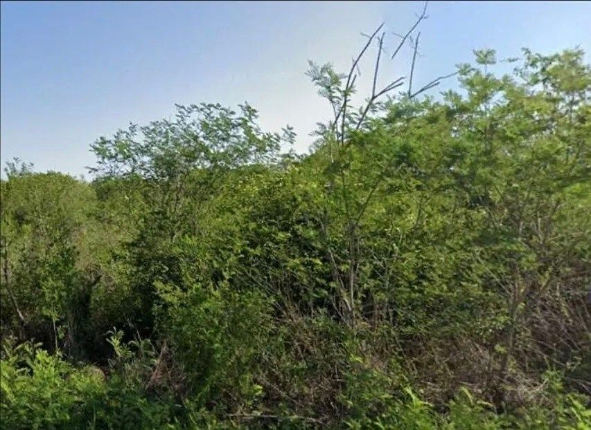Lote em Sierra Papacal, Mérida, foto 4 de 5