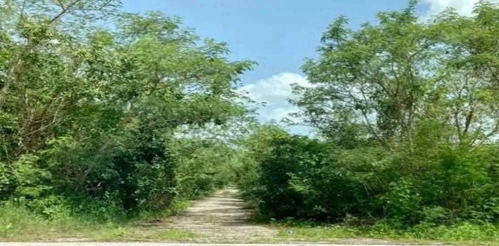 Lote em Sierra Papacal, Mérida, foto 5 de 5