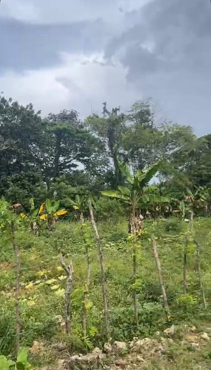 TERRENO EN VENTA – CATALINA DE CABRERA, foto 1 de 1