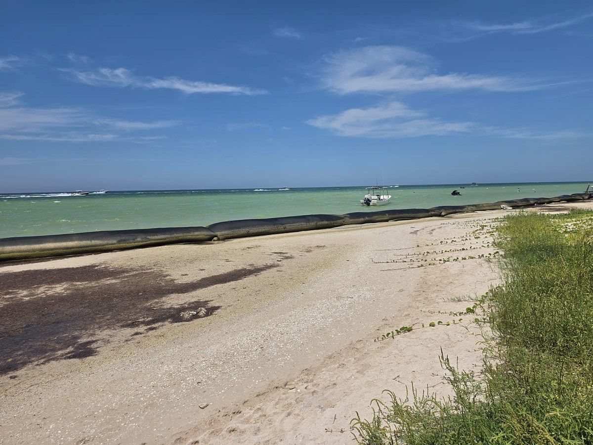 Casa en Chicxulub Puerto, Progreso, foto 5 de 11