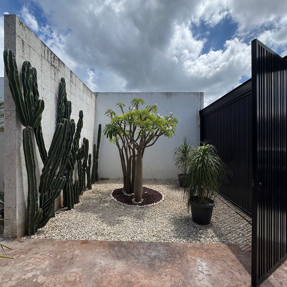 Casa en Dzityá, Mérida, foto 5 de 37