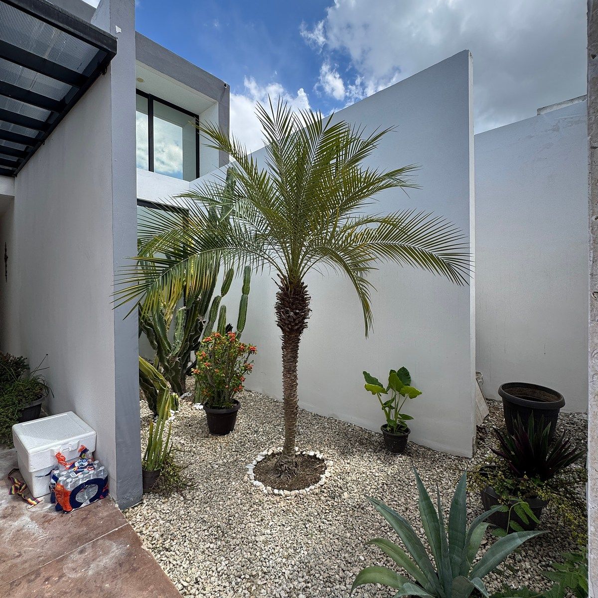 Casa en Dzityá, Mérida, foto 6 de 37