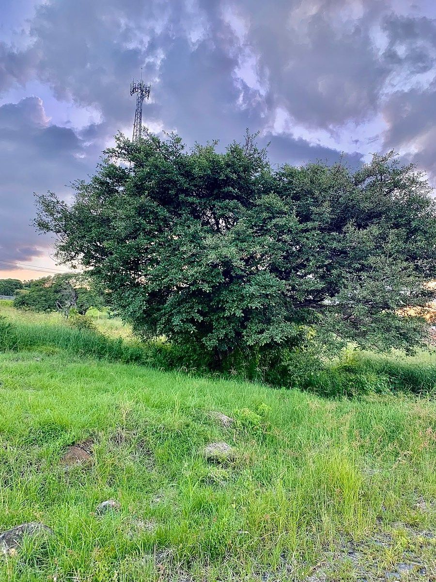 Lot in Praderas Del Sol, Tonalá, photo 4 of 6