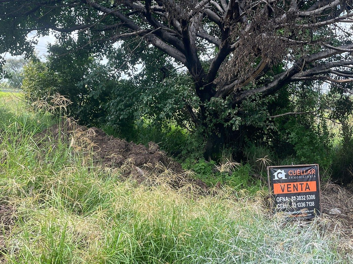 Lot in Praderas Del Sol, Tonalá, photo 6 of 6