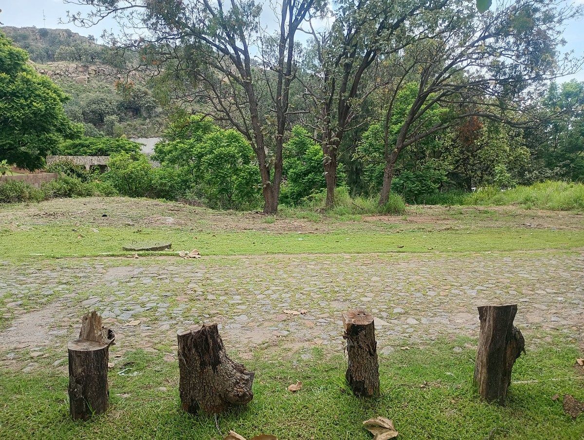 Hacienda Montichello, Carretera a Colotlán Kilómetro 13.5, photo 2 of 19