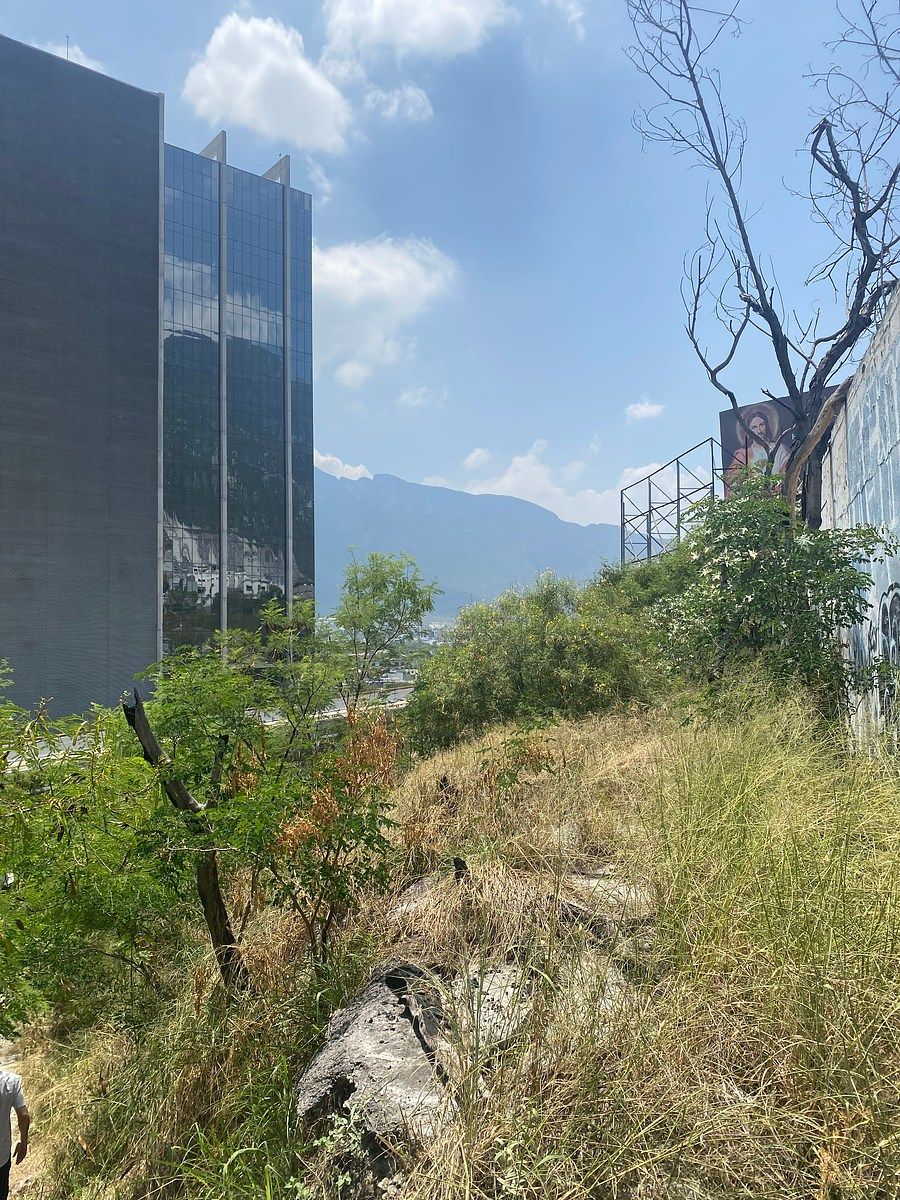 Terreno comercial en Las Pedreras (F-106), Monterrey, foto 6 de 14