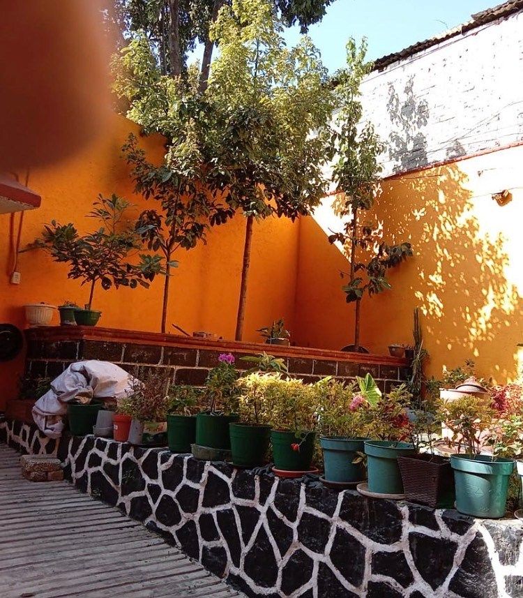 House in Cultura Maya, Tlalpan, photo 4 of 19