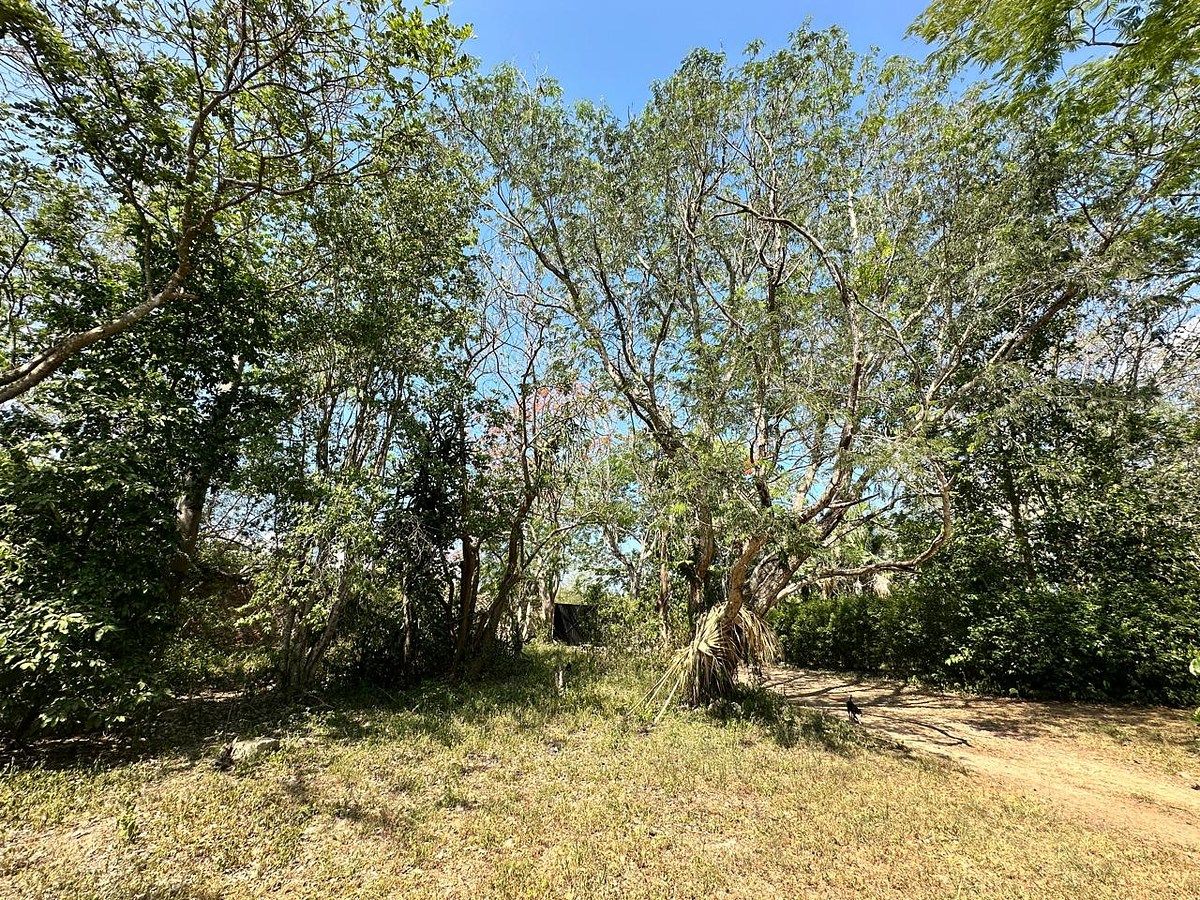 Lote em Santa Rita Cholul, Mérida, foto 2 de 10