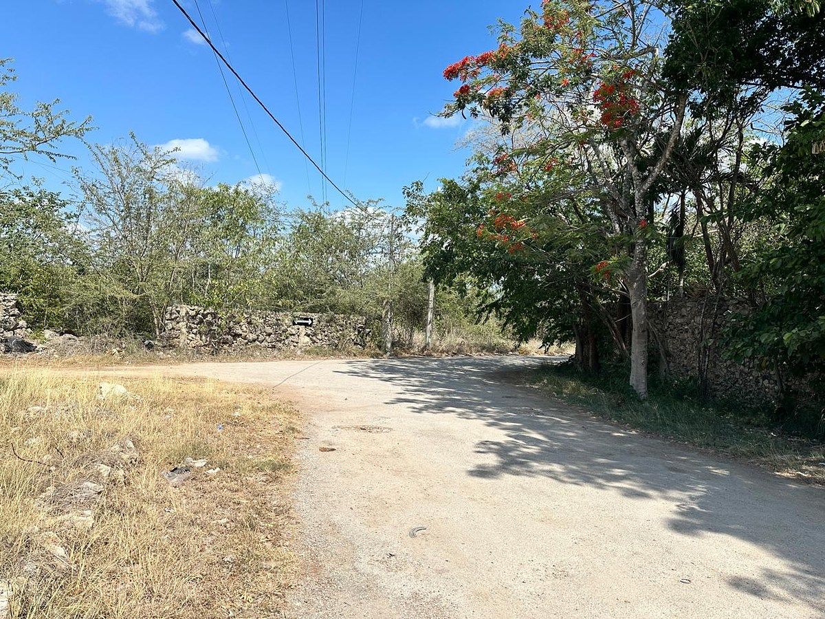 Lote em Santa Rita Cholul, Mérida, foto 7 de 10