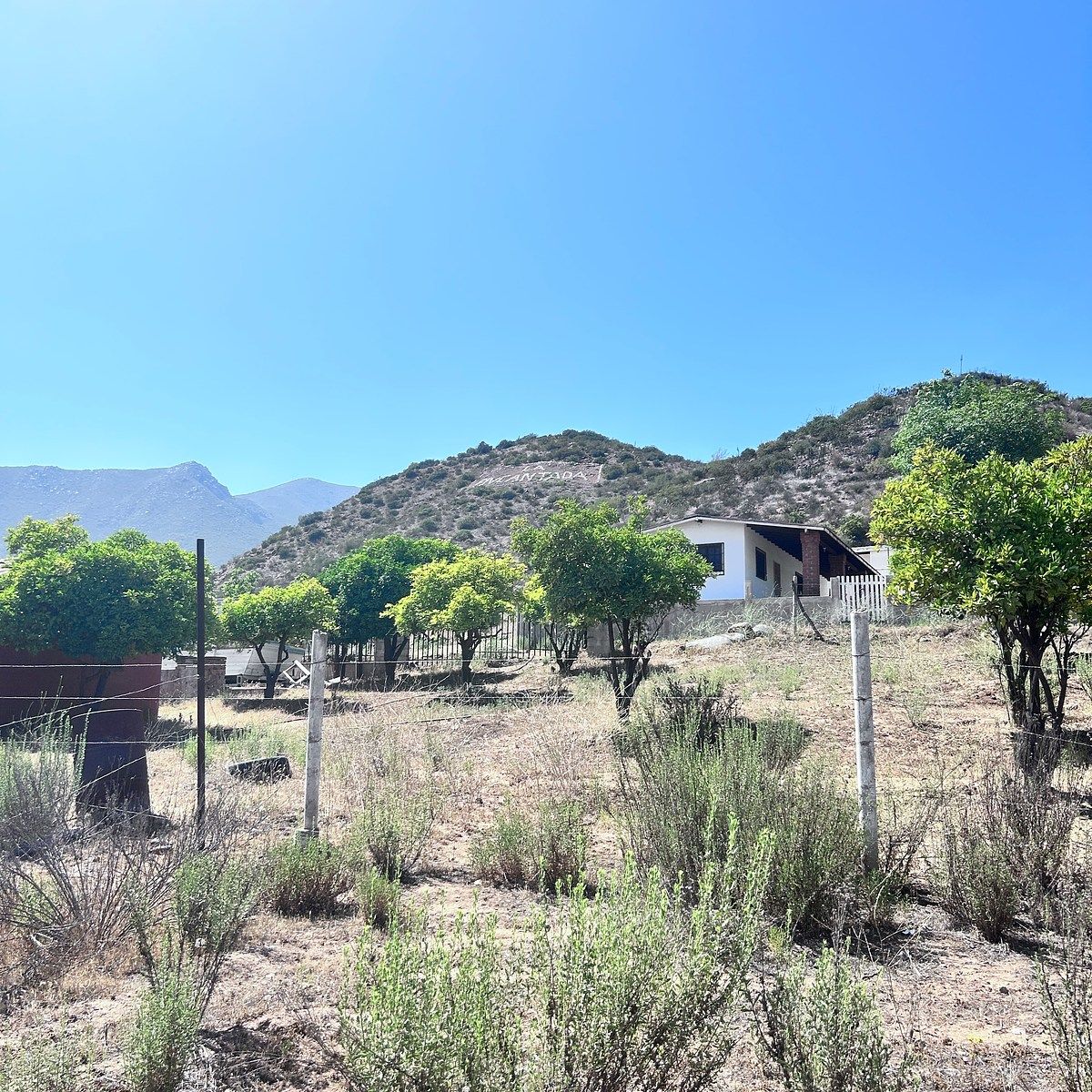 Terreno en ED Ruiz Cortínez, Ensenada, foto 6 de 12