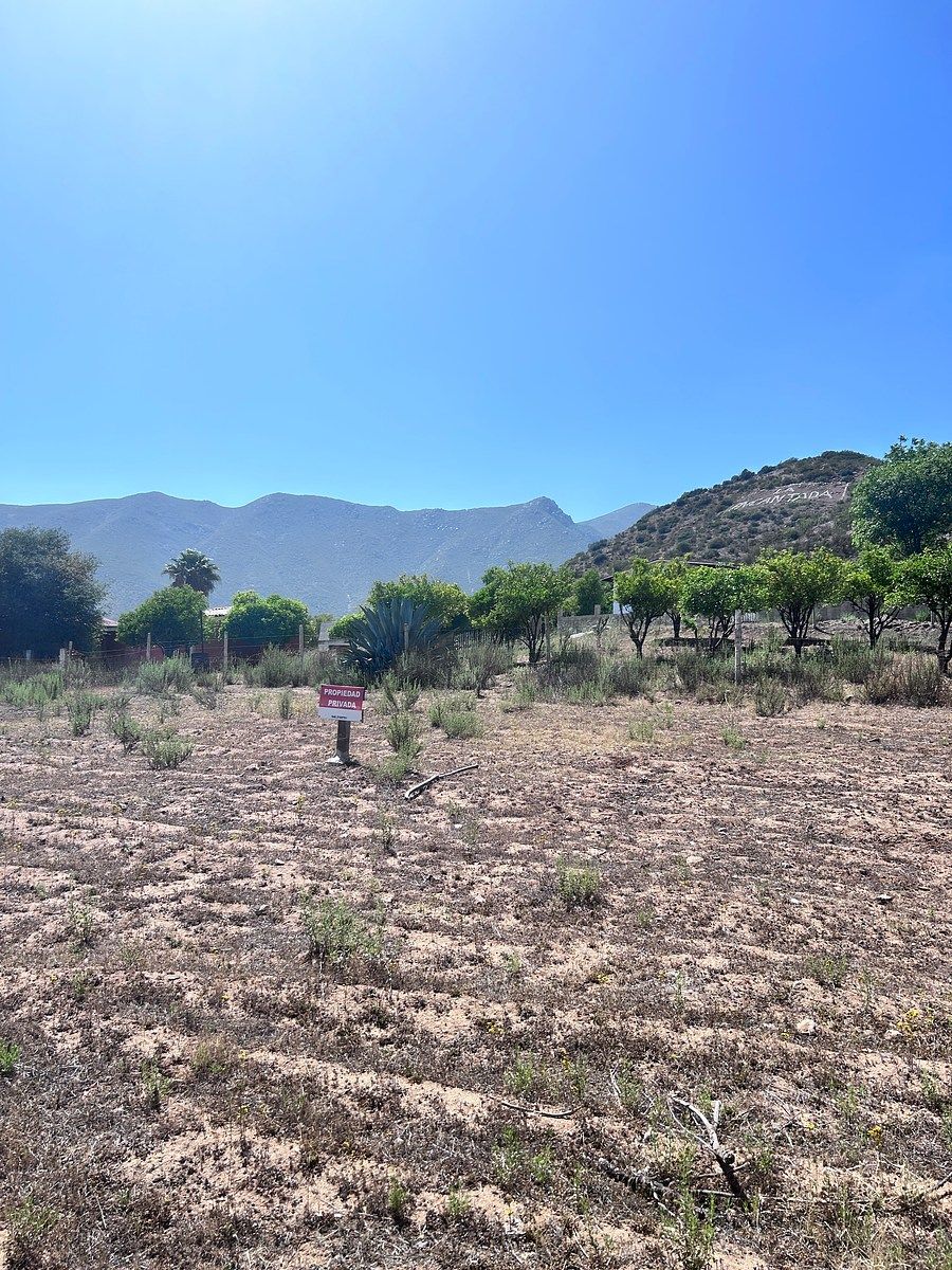 Terreno en ED Ruiz Cortínez, Ensenada, foto 9 de 12