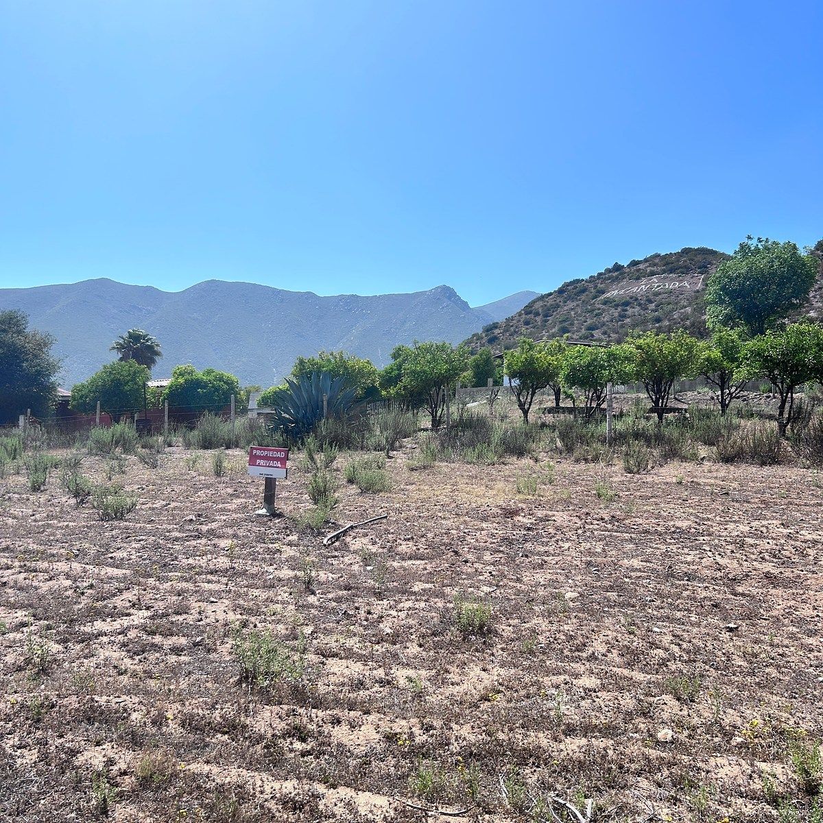 Terreno en ED Ruiz Cortínez, Ensenada, foto 10 de 12