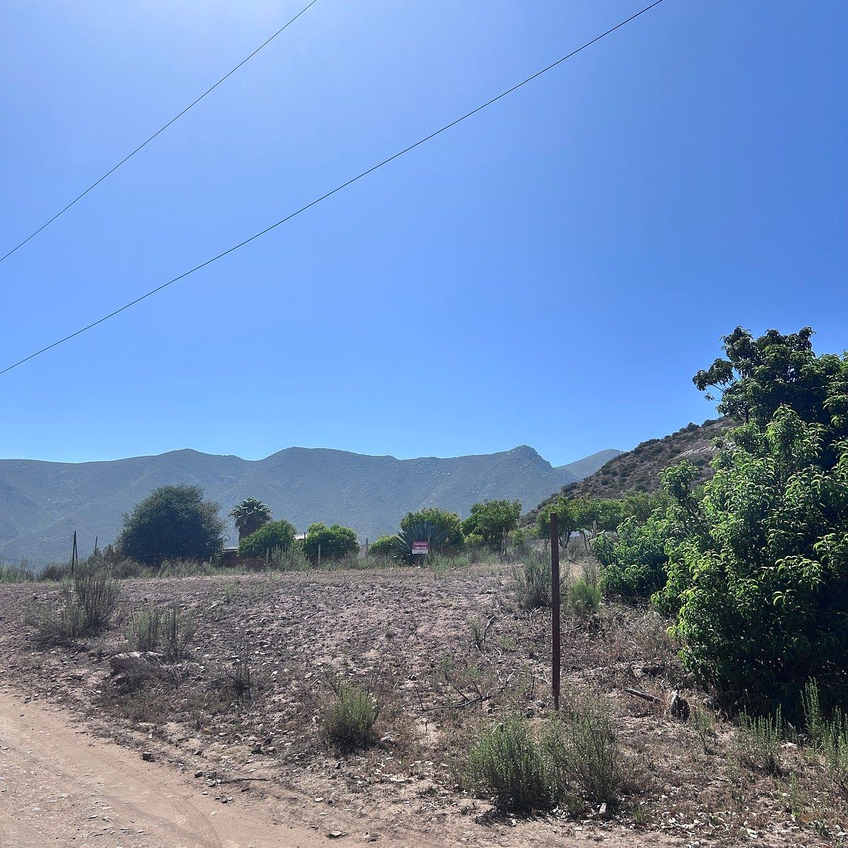 Terreno en ED Ruiz Cortínez, Ensenada, foto 11 de 12