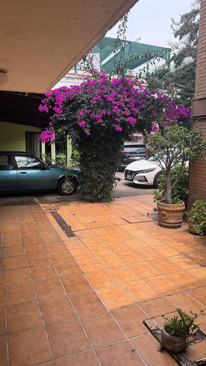 Casa en Jardines del Pedregal, Álvaro Obregón, foto 17 de 28