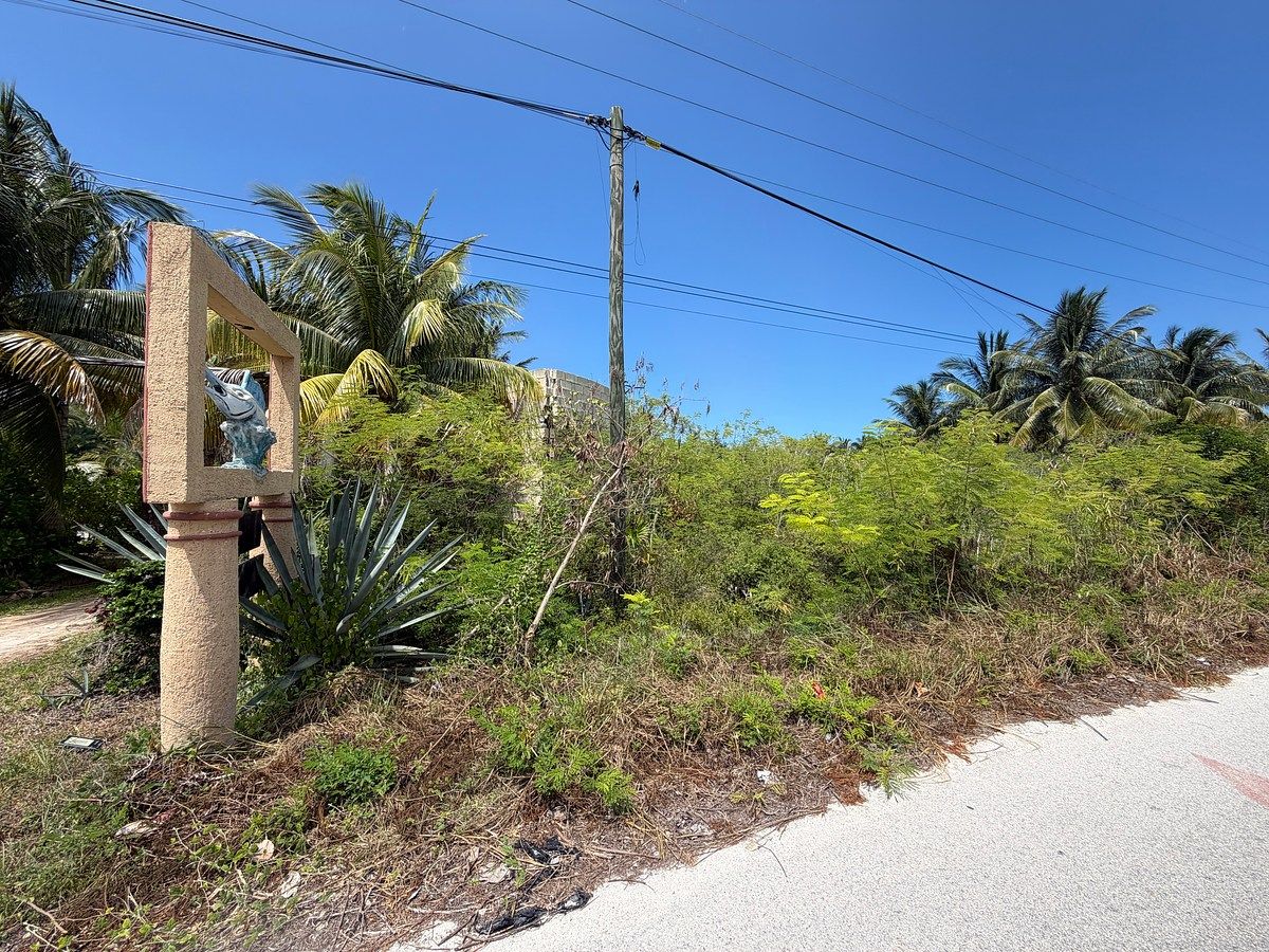 Terreno en San Benito, Dzemul, foto 6 de 9