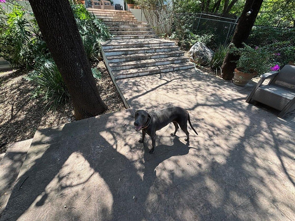 Casa en Lomas Del Rosario, San Pedro Garza García, foto 8 de 8