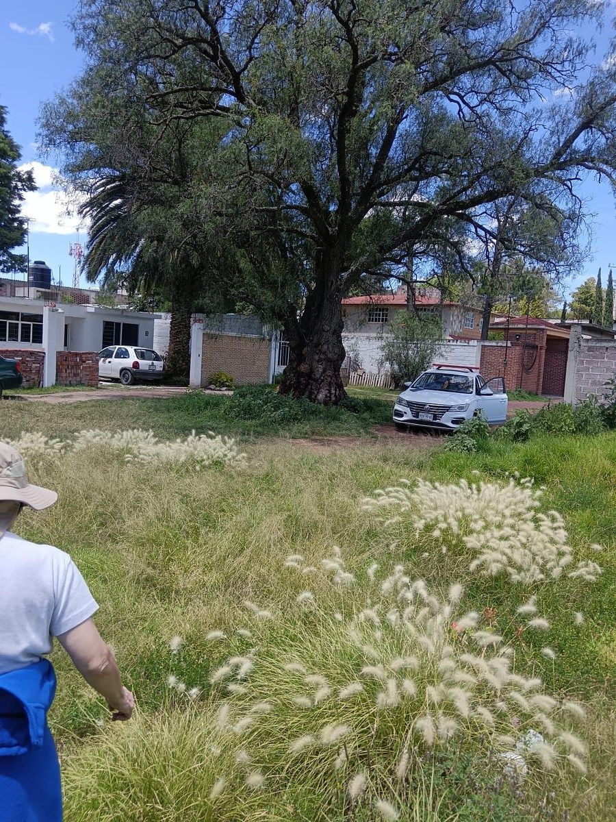 Lote em San Francisco Molonco, Nextlalpan, foto 3 de 13