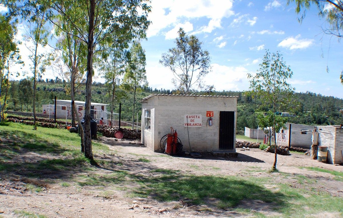 Terreno en Los Reyes San Salvador, Texcoco, foto 13 de 15