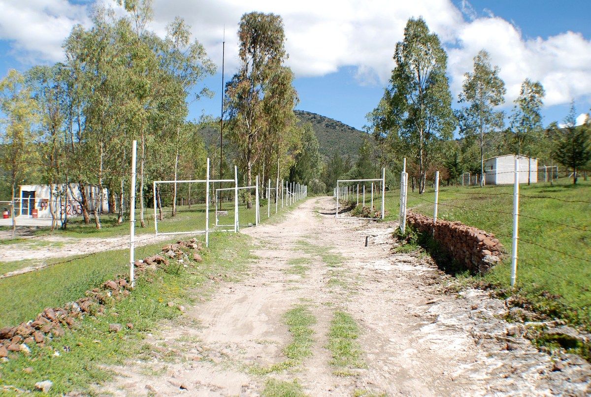 Terreno en Los Reyes San Salvador, Texcoco, foto 15 de 15