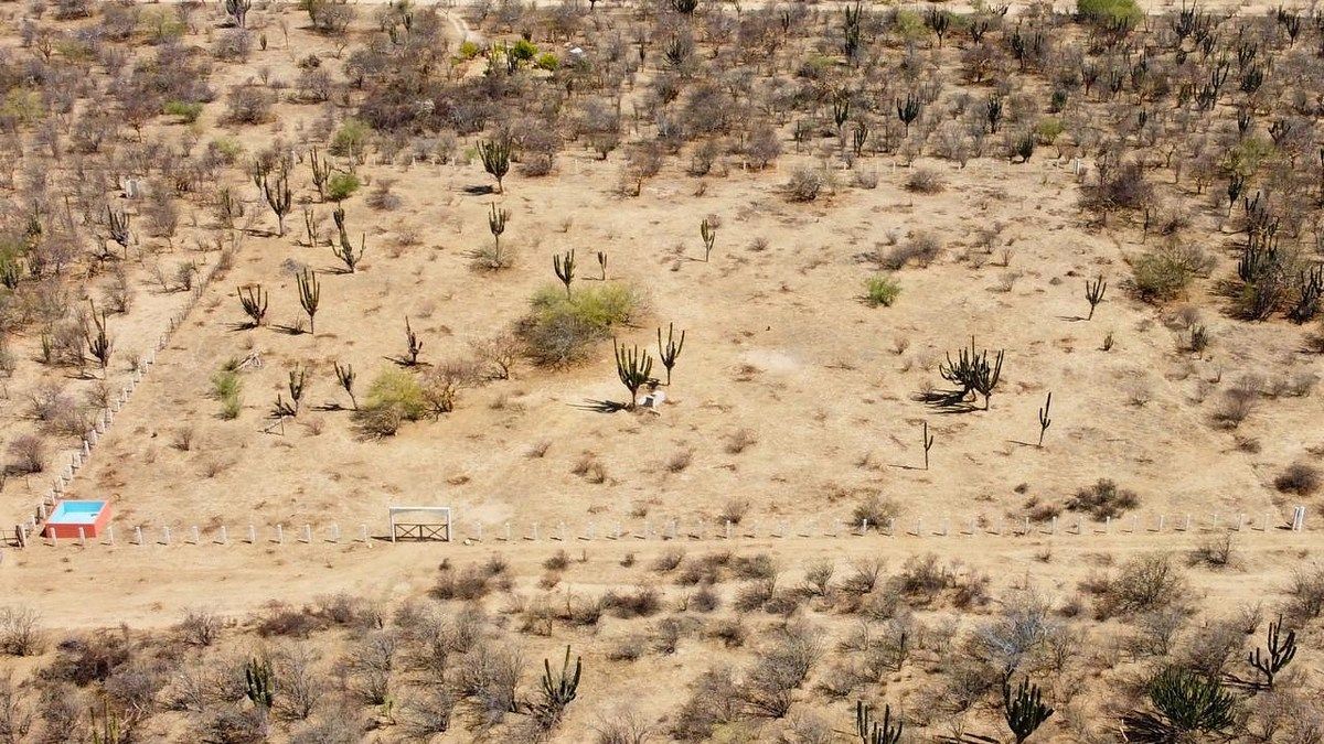 Lote em Calafia, La Paz, foto 6 de 9