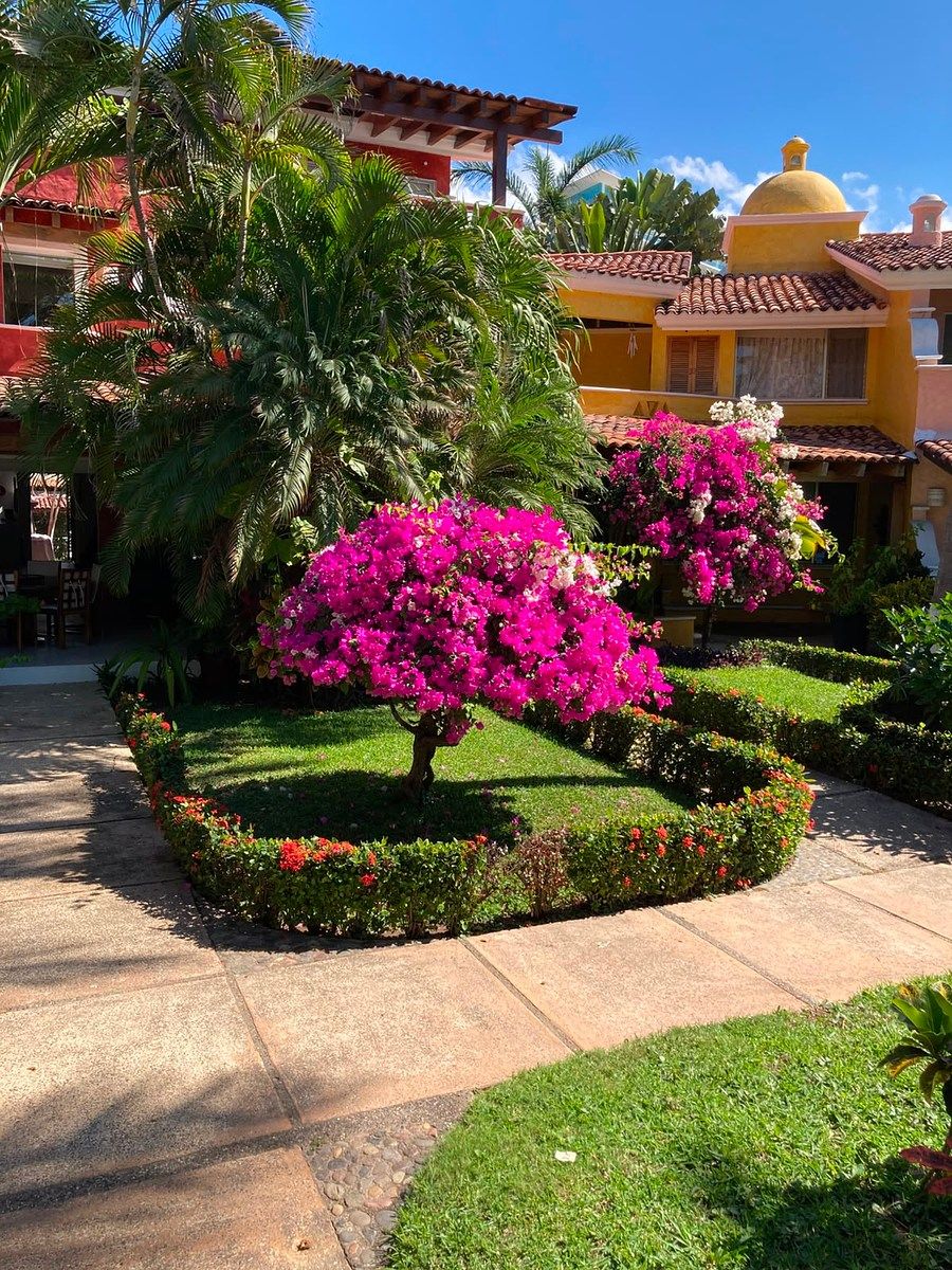 Villa en Zona Hotelera I, Zihuatanejo de Azueta, foto 10 de 12